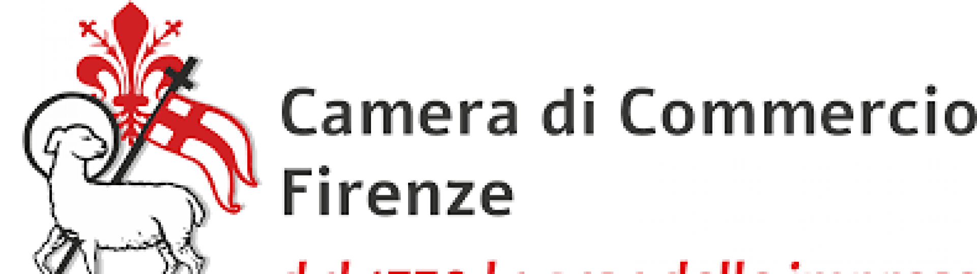 Logo Camera Commercio di Firenze